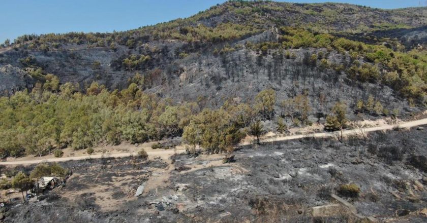 İzmir'deki yanan alanlar drone ile gözlemlendi