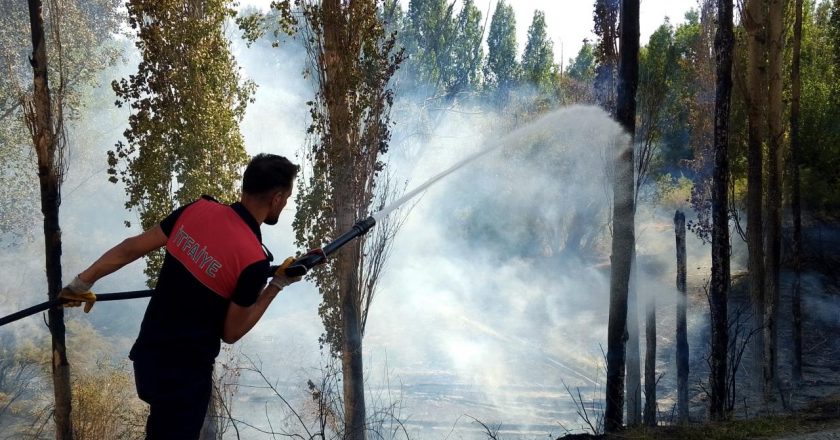 Sivas'ta ormanlık alanda yangın – Son dakika haberler