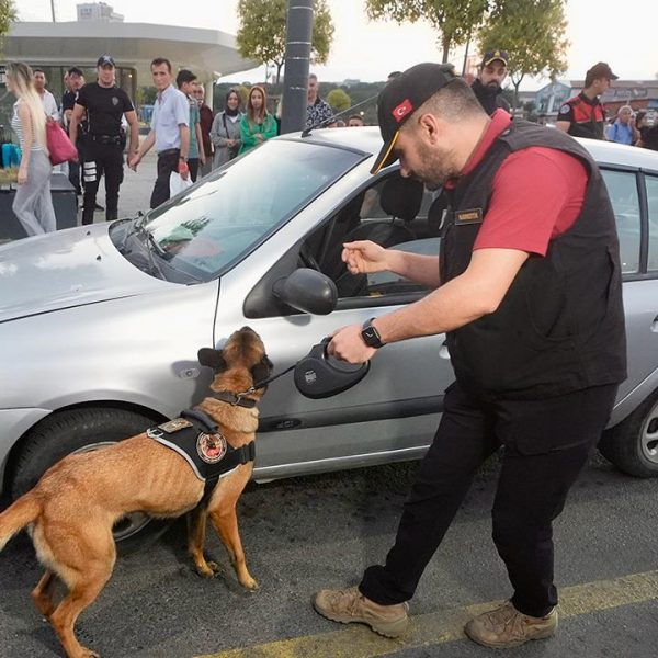 Huzur İstanbul uygulamasında 677 şüpheli yakalandı