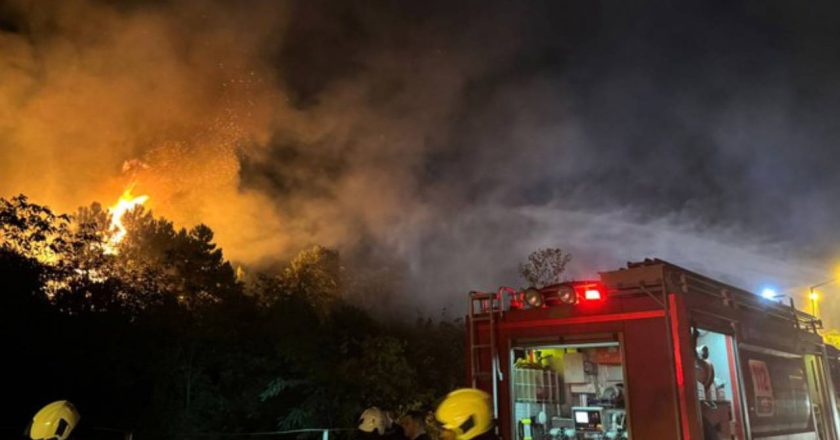 Beykoz’da orman yangını! Ekipler müdahale ediyor – Son Dakika Türkiye Haberleri