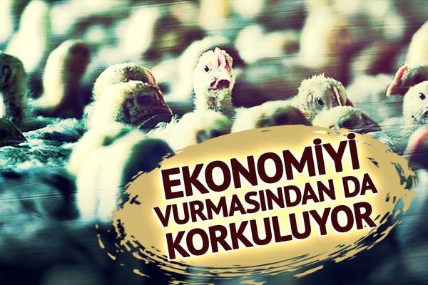 Ekonomiyi kötü etkilemesinden korkuluyor! Avrupa’da yeni salgın alarmı: Vakaların patladığı iki ülke harekete geçti