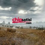 Zynga Poker Chip – Kesintisiz Oyun Deneyimi İçin Kurumsal Çözüm